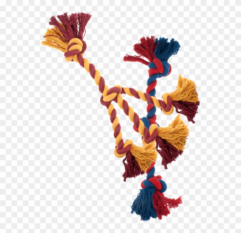 Does North Nogales Tech Really Think They Will Win - Does North Nogales Tech Really Think They Will Win #1488076