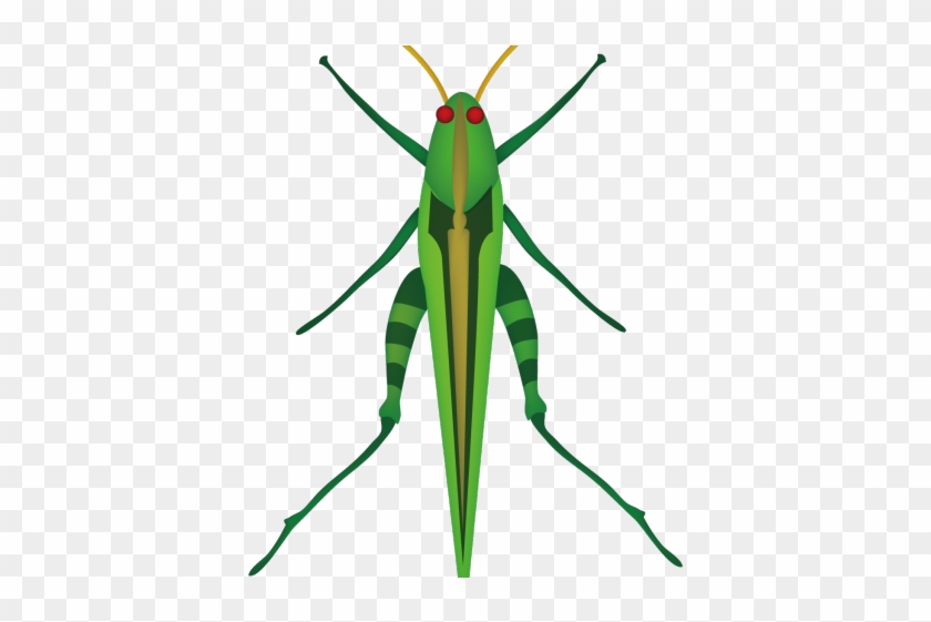 Locust Clipart Cricket Insect - Locust Clipart Cricket Insect #1488099