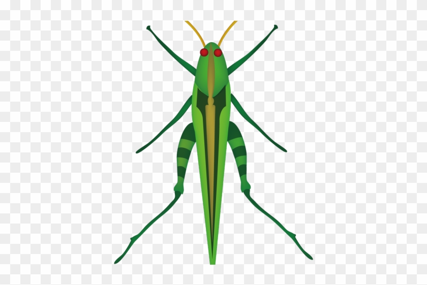 Locust Clipart Cricket Insect - Locust Clipart Cricket Insect #1488099
