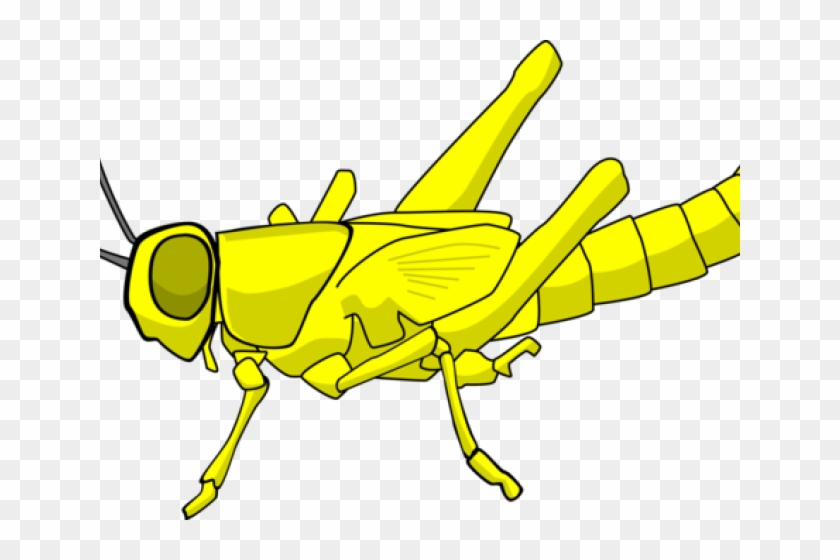 Locust Clipart Plague - Locust Clipart Plague #1488132