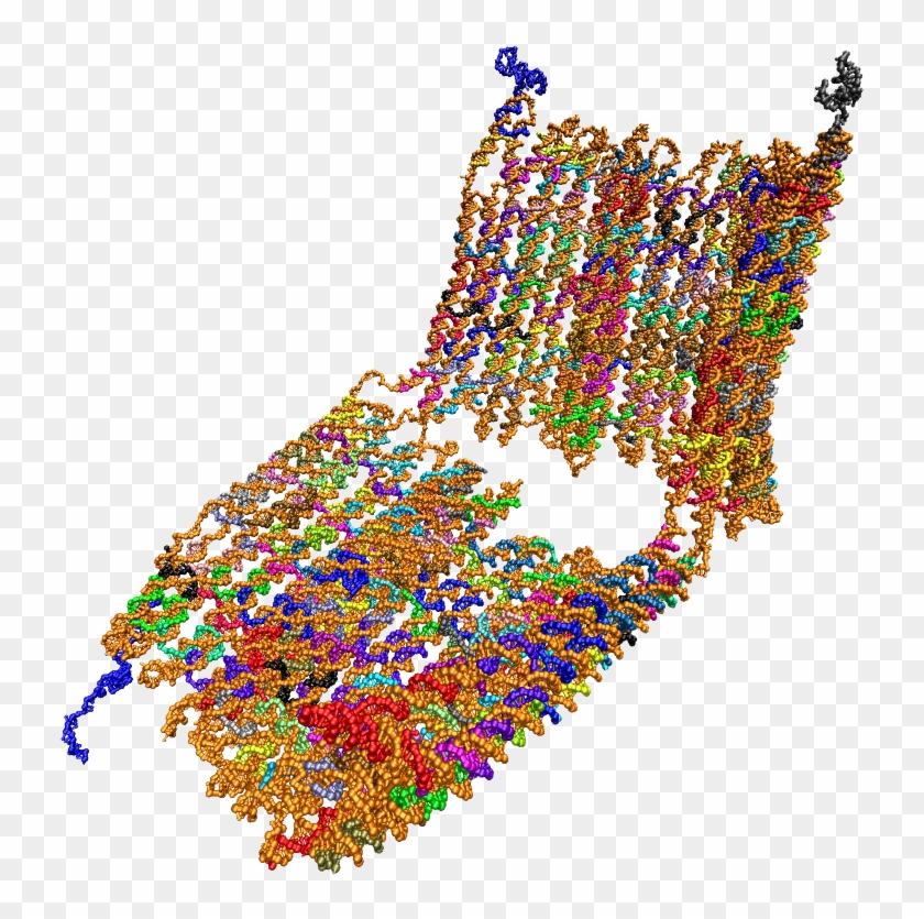 Computing Power Helps Researchers Unlock Dna S - Computing Power Helps Researchers Unlock Dna S #1488488