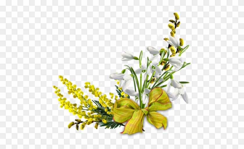 Snowdrops - Snowdrops #1488592