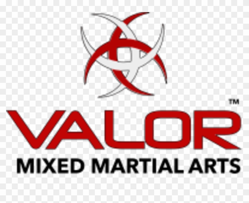Valor Mixed Martial Arts Logo - Valor Mixed Martial Arts Logo #1488639