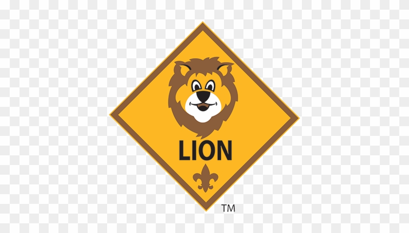 Kindergartners Work Toward The Lion Rank - Kindergartners Work Toward The Lion Rank #1488811