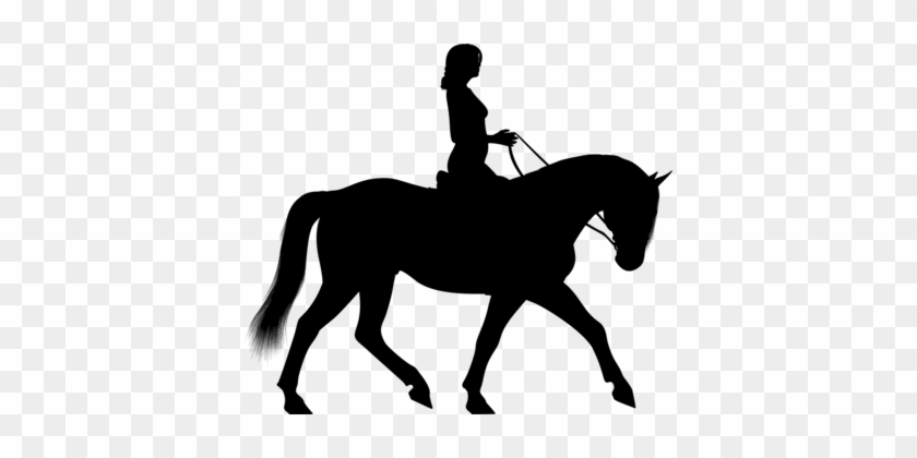 Horse&rider Equestrian Western Pleasure English Riding - Horse&rider Equestrian Western Pleasure English Riding #1488997