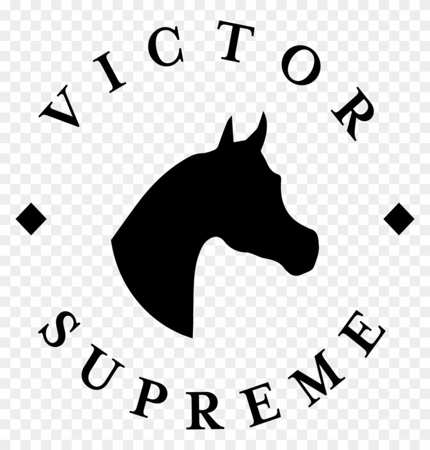 Victor Supreme - Victor Supreme #1489001
