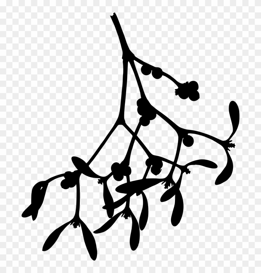 Mistletoe Clipart Drawn - Mistletoe Clipart Drawn #1489144
