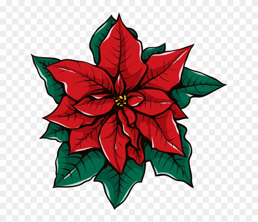Pointsettas Are Gifted To Community Residents In Local - Pointsettas Are Gifted To Community Residents In Local #1489649
