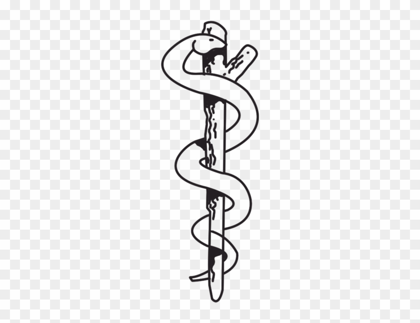 Medical Symbol With One Snake And Tree Branch - Medical Symbol With One Snake And Tree Branch #1489898