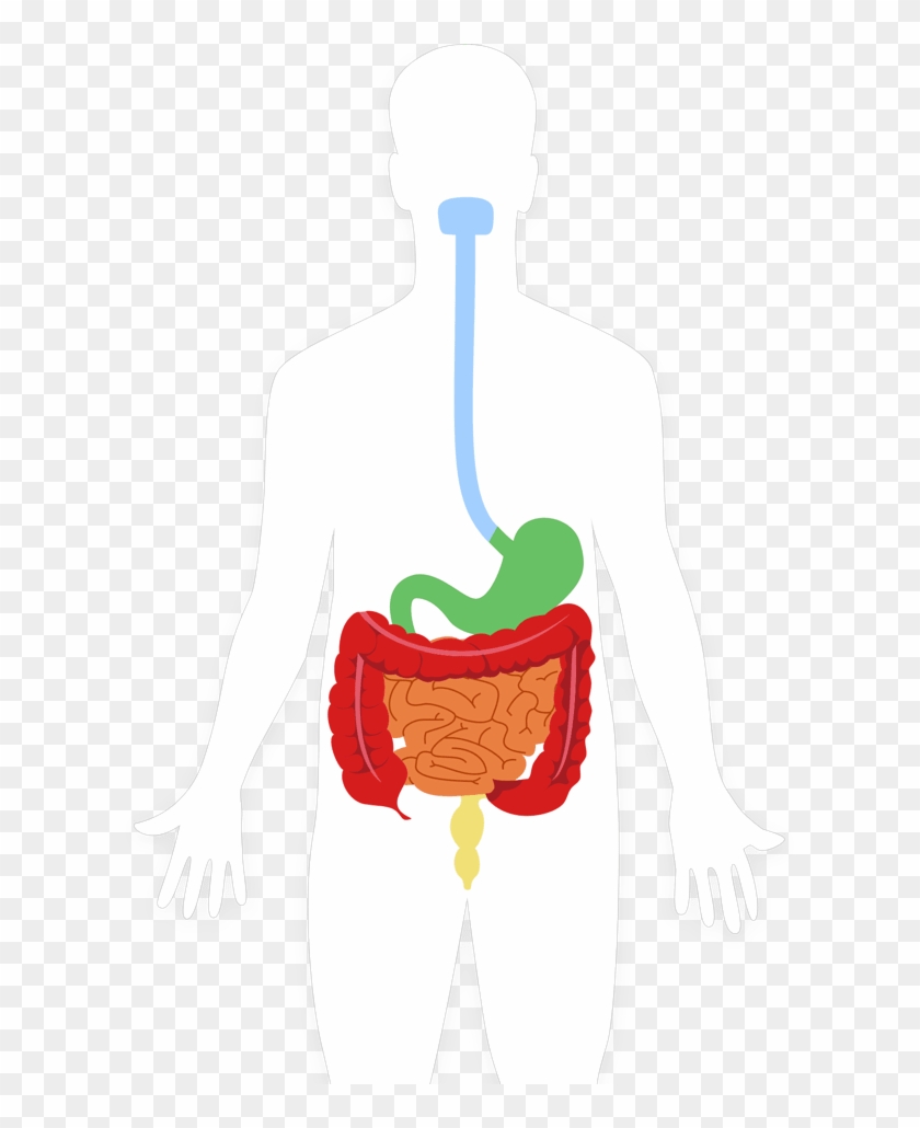 Mygihealth Learning Center - Mygihealth Learning Center #1489945