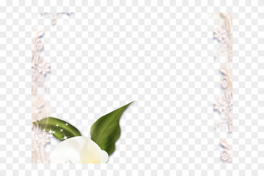 Calla Lily Clipart Memorial Flower - Calla Lily Clipart Memorial Flower #1491040