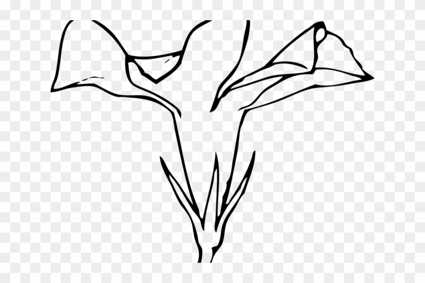 Calla Lily Clipart Memorial Flower - Calla Lily Clipart Memorial Flower #1491043