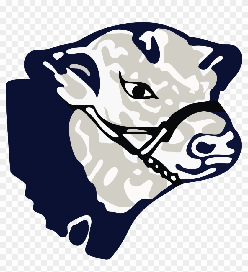 Avon Valley Beef - Avon Valley Beef #1491289