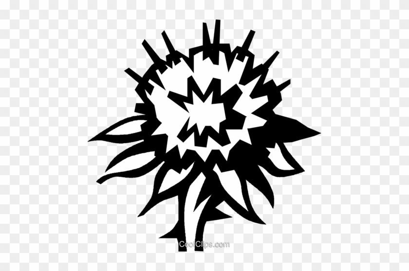 Thistle Royalty Free Vector Clip Art Illustration - Thistle Royalty Free Vector Clip Art Illustration #1491664