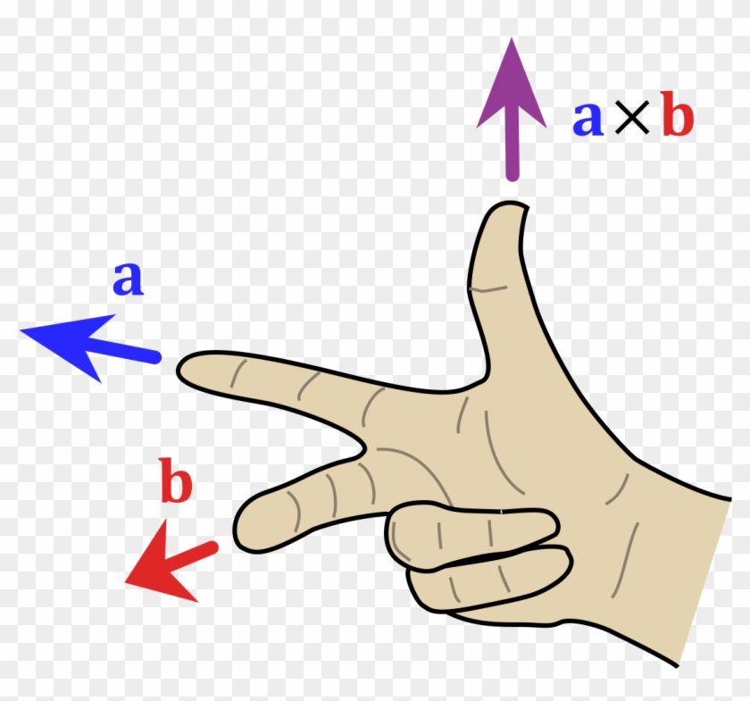 Vector Mirror Hand Holding - Vector Mirror Hand Holding #1491784