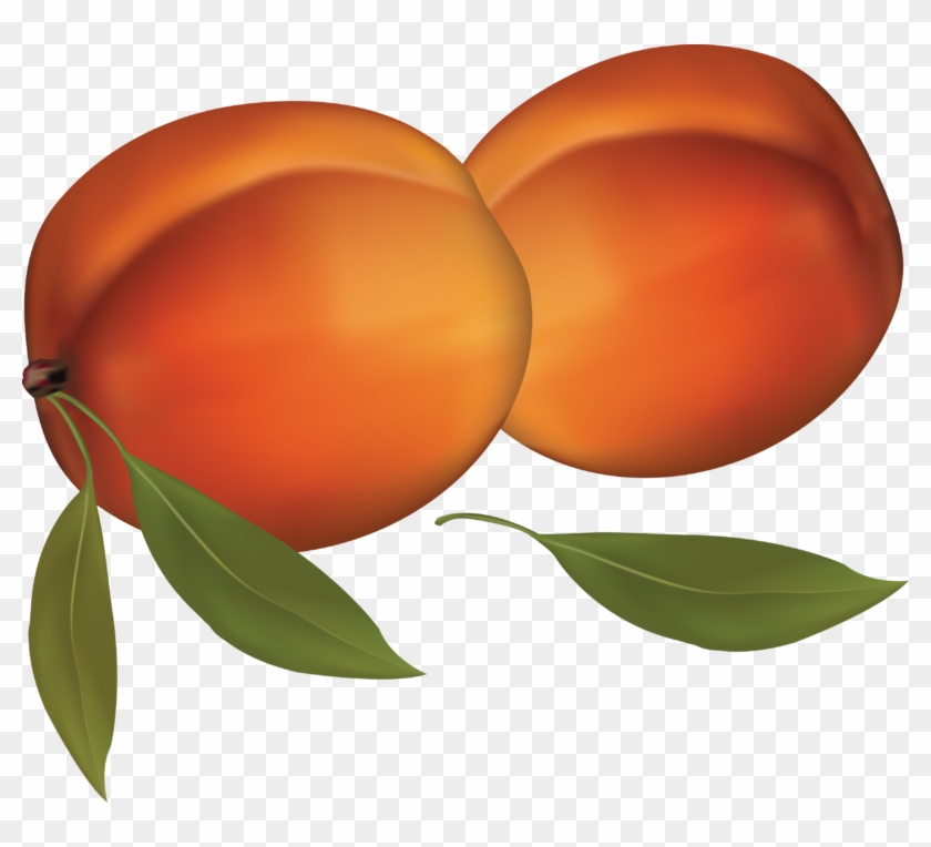 Peach Clipart - Peach Clipart #1492267