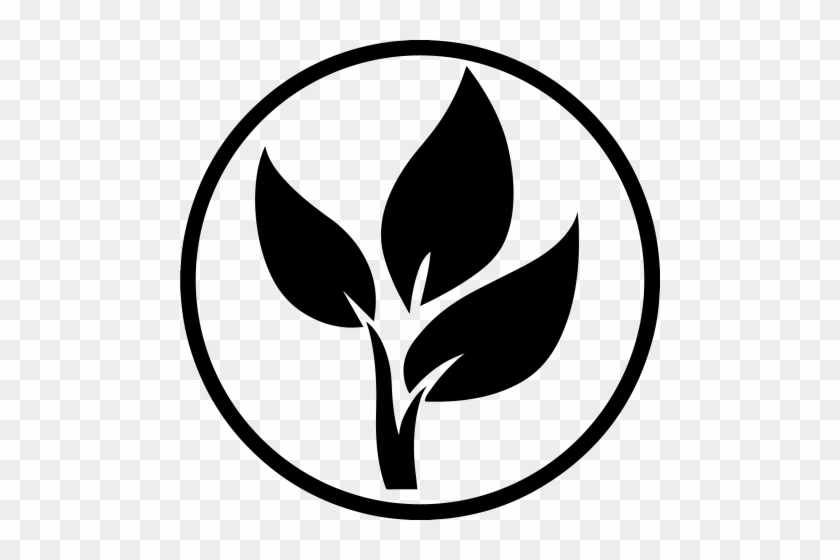 Decoding The Peace Coin - Decoding The Peace Coin #1492281