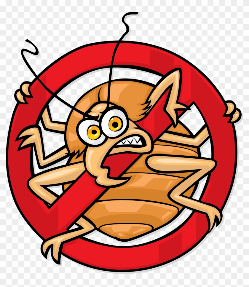 Bed Bug Battle Guide - Bed Bug Battle Guide #1493289
