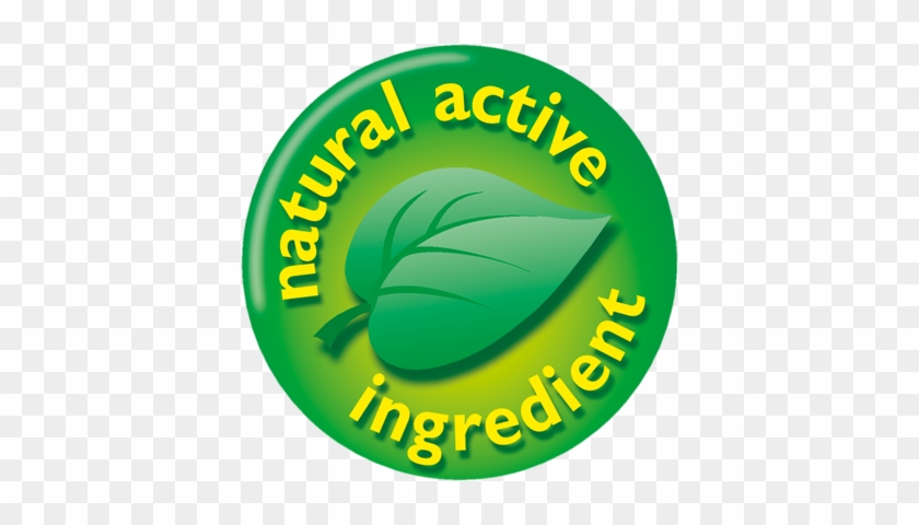 Natural Active Ingredient - Natural Active Ingredient #1493316