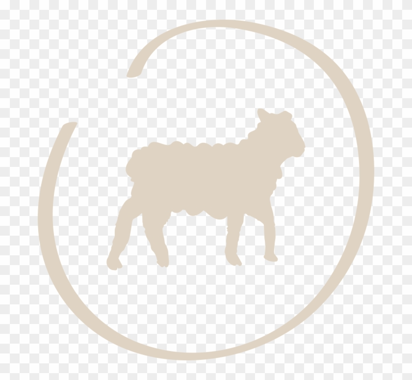 Brennwert = 323 Kj Fett = 0,3g - Brennwert = 323 Kj Fett = 0,3g #1493332