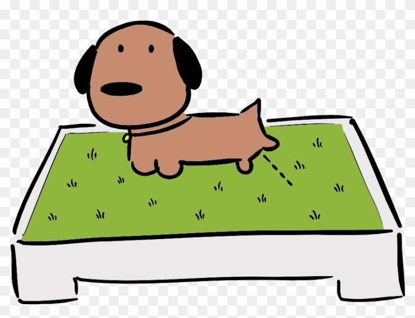 Putting Your Dog's Urine Scent On The Grass Will Help - Putting Your Dog's Urine Scent On The Grass Will Help #1493531