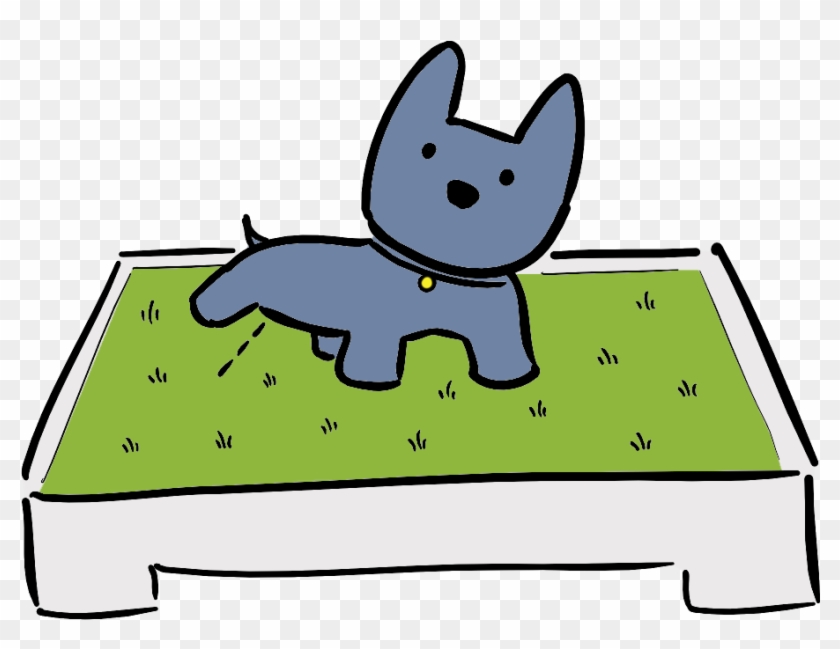 Let Your Dog Naturally Find The Grass - Let Your Dog Naturally Find The Grass #1493539