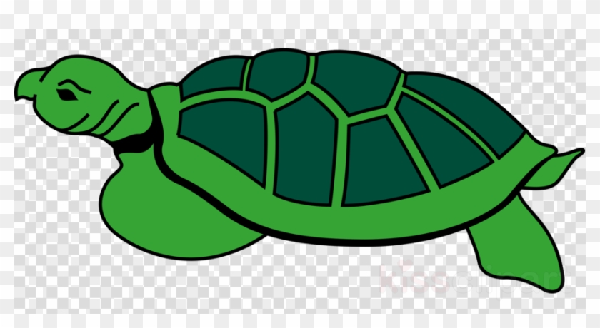 Kura Kura Vector Clipart Turtle Clip Art - Kura Kura Vector Clipart Turtle Clip Art #1493593