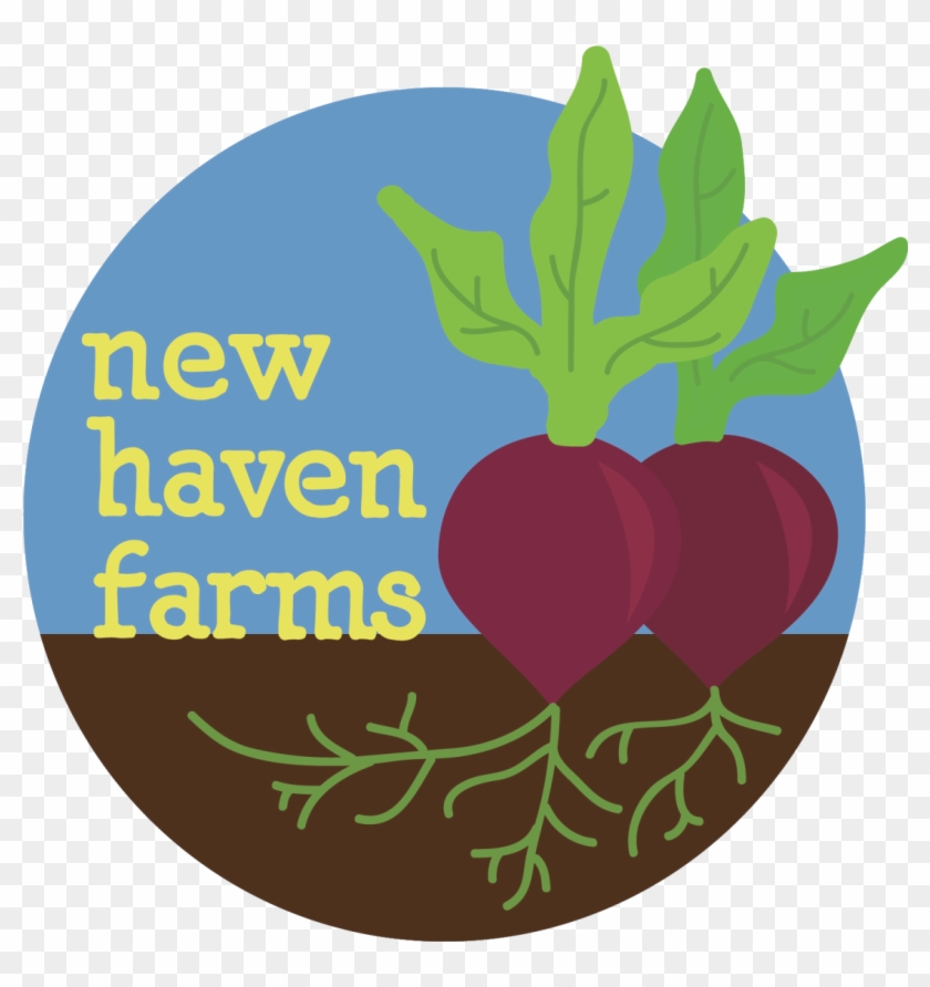 New Haven Farms Is Looking For An Administrative Assistant - New Haven Farms Is Looking For An Administrative Assistant #1494446
