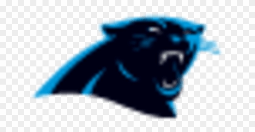 Carolina Panthers - Carolina Panthers #1494833