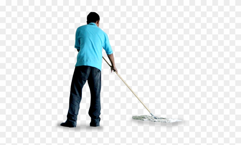 Everglades Welcome To Survey - Everglades Welcome To Survey #1495235