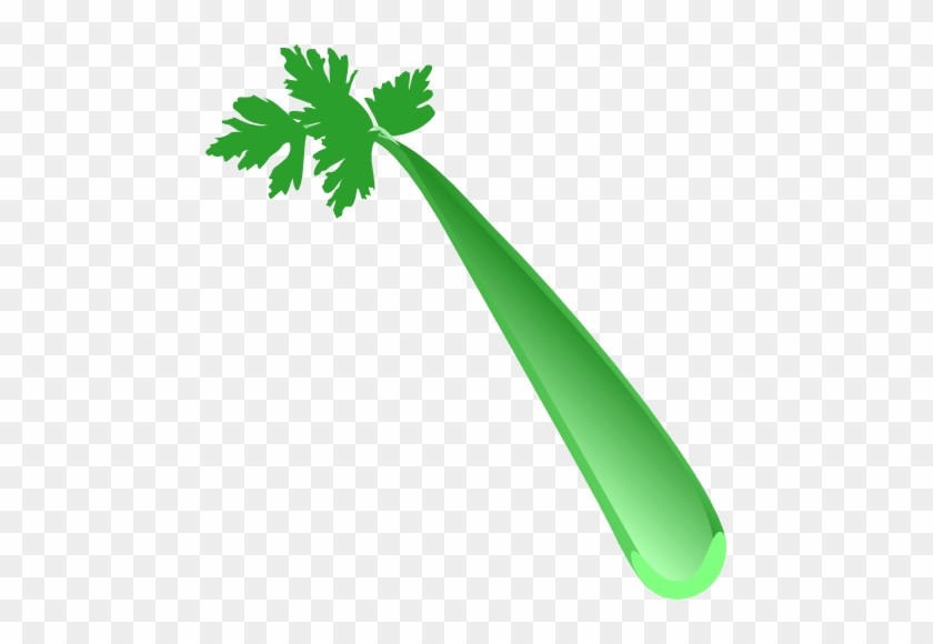 Celery Vector - Celery Vector #1495276