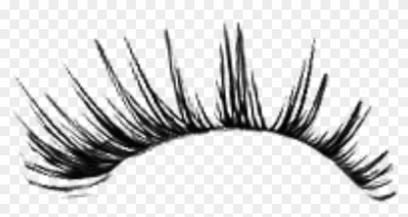 Image Freeuse Eyelash Clipart Tumblr Transparent - Image Freeuse Eyelash Clipart Tumblr Transparent #1495469