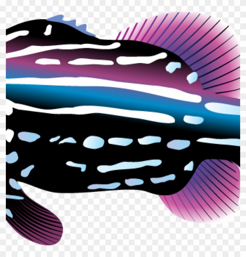 Tropical Fish Clipart Tropical Fish Clipart Clipart - Tropical Fish Clipart Tropical Fish Clipart Clipart #1495477