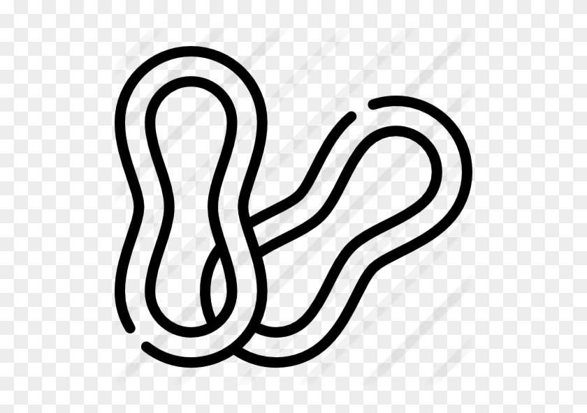 Rubber Bands Free Icon - Rubber Bands Free Icon #1495506