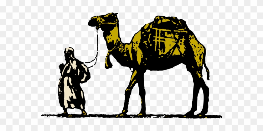Bactrian Camel Download Drawing Camel Train Camel Graphics - Bactrian Camel Download Drawing Camel Train Camel Graphics #1495669