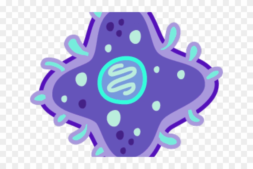 Bacteria Clipart Bacterial Cell - Bacteria Clipart Bacterial Cell #1496012