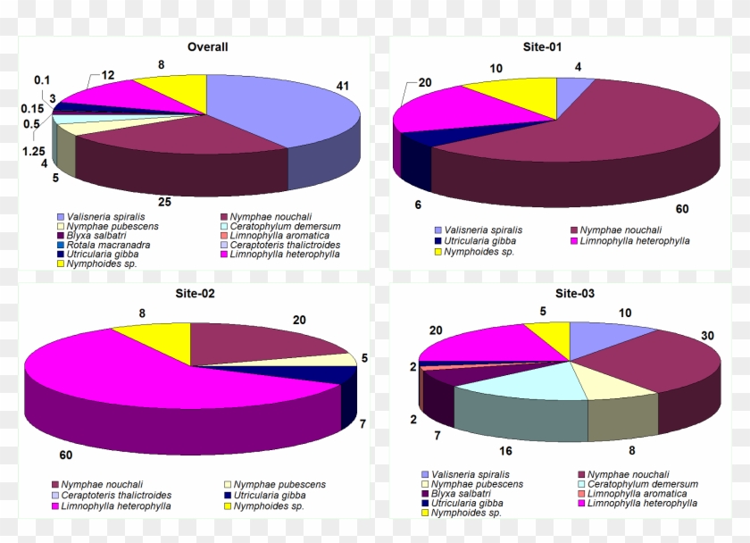 Percentage Cover Of Macrophyte Species In Pond - Percentage Cover Of Macrophyte Species In Pond #1496145