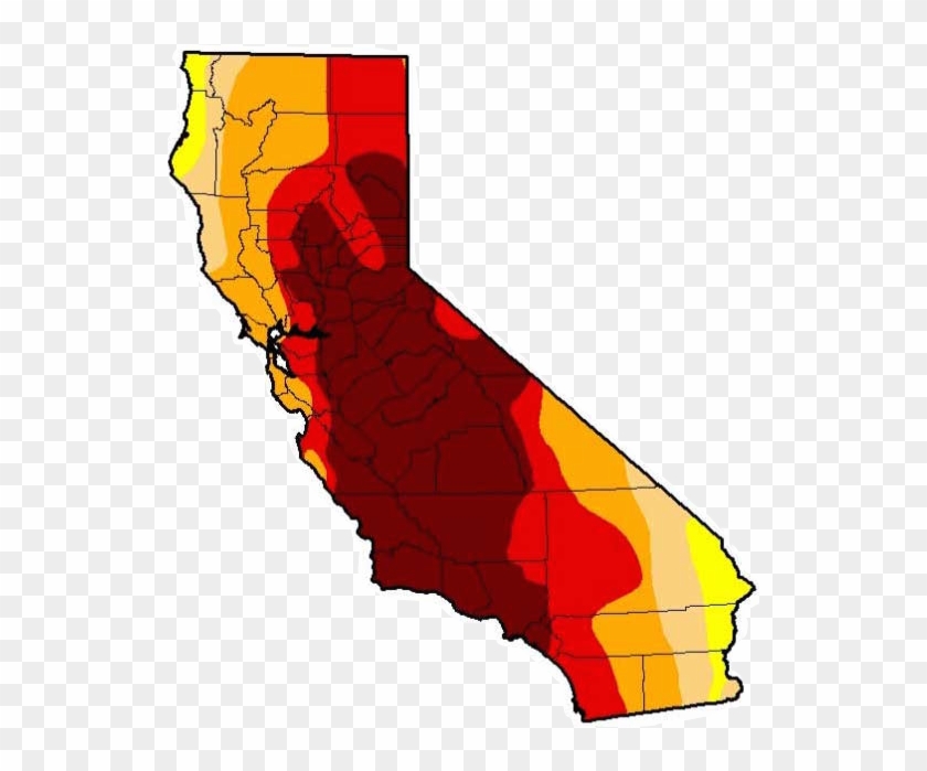 Drought Causes Lack Of Food And Drinking Water For - Drought Causes Lack Of Food And Drinking Water For #1496994