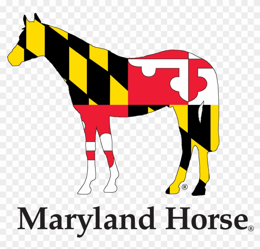 Home Maryland Horse - Home Maryland Horse #1497203