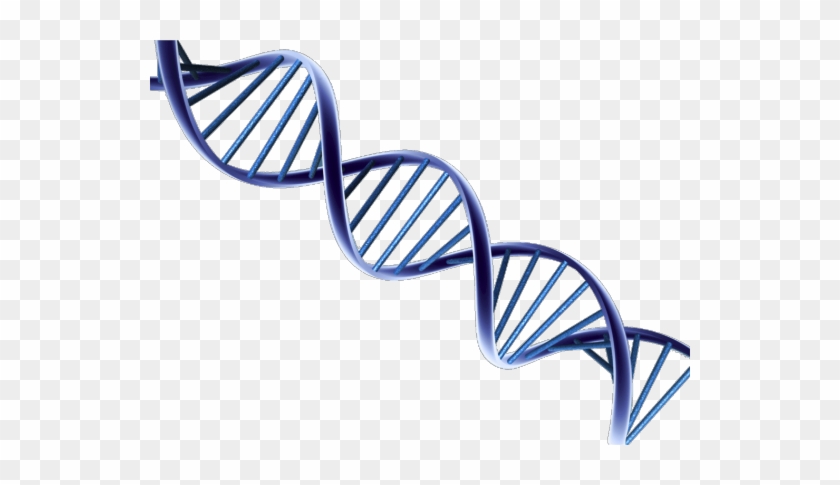 Dna Border Clipart - Dna Border Clipart #1497420