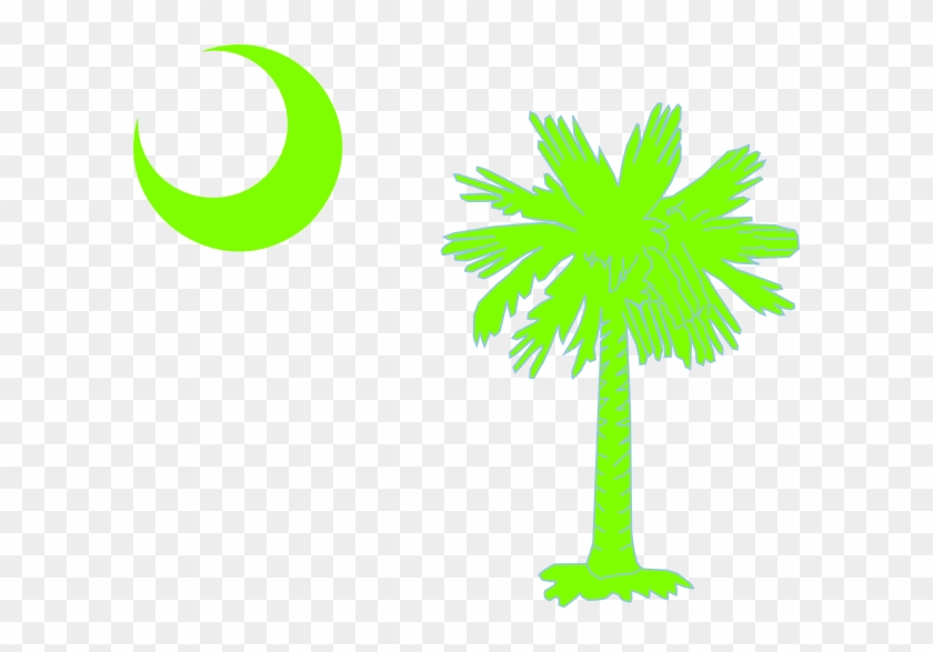 How To Set Use Sc Palmetto Tree - How To Set Use Sc Palmetto Tree #1497465