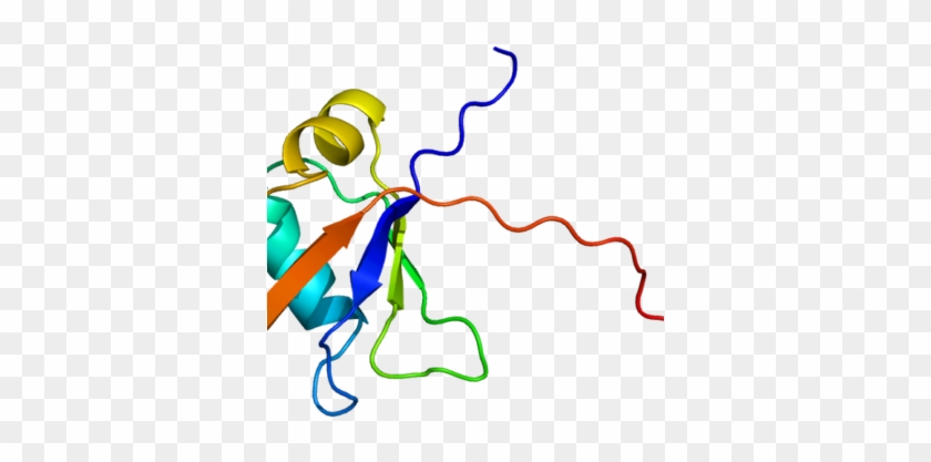 How Fruit Flies Are Helping Us Understand Mnd - How Fruit Flies Are Helping Us Understand Mnd #1498592