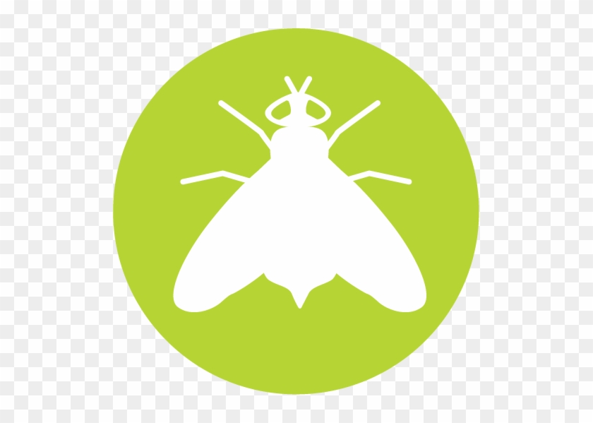 Harnessing The Power Of Nature - Harnessing The Power Of Nature #1498593