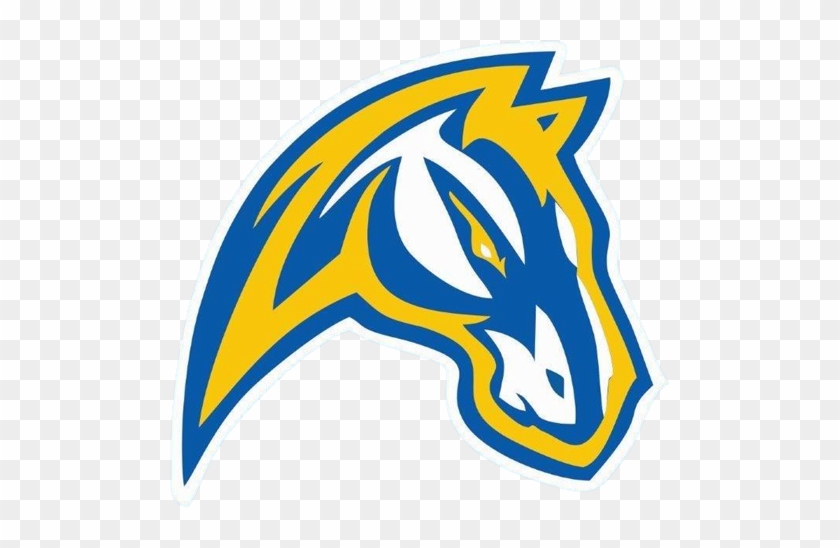 Chicopee Comprehensive Colts - Chicopee Comprehensive Colts #1498709