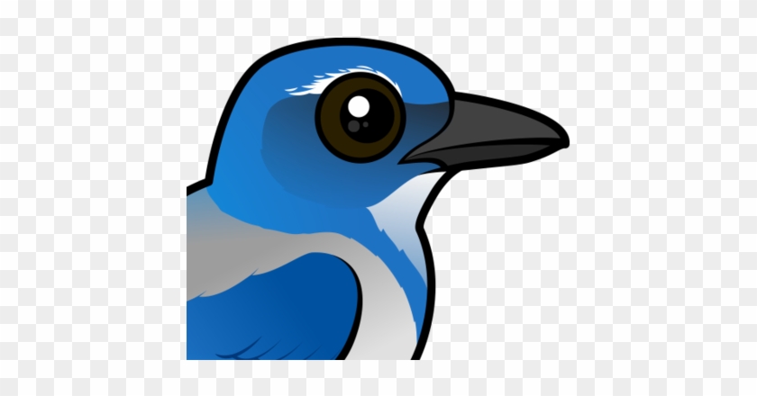 Clip Art Download Meet The Cute Birdorable Scrub Jay - Clip Art Download Meet The Cute Birdorable Scrub Jay #1498797