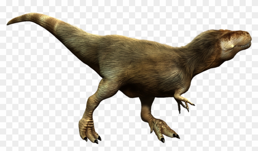 Tyrannosaurus Rex T Wiki - Tyrannosaurus Rex T Wiki #1498817