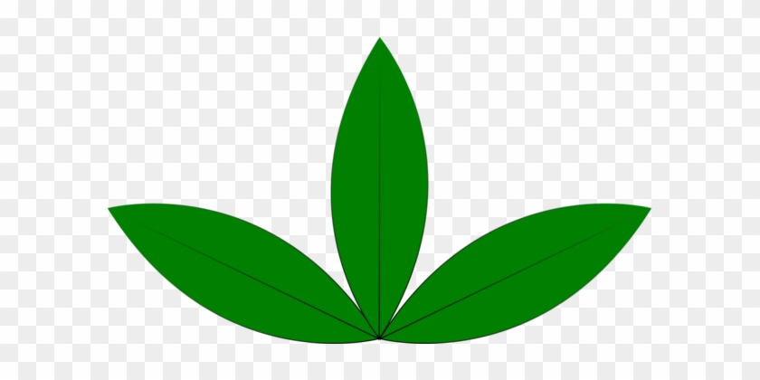 Plant Leaf Download Computer Icons Seedling - Plant Leaf Download Computer Icons Seedling #1499838