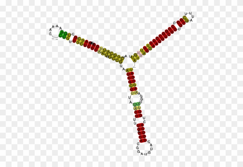 Newbery Book Report Project - Newbery Book Report Project #1500312