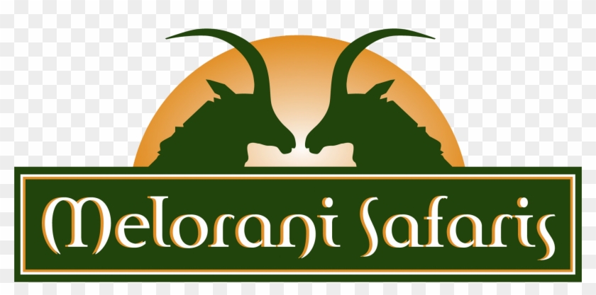 South Africa's Premier Bow Hunting Only Destination - South Africa's Premier Bow Hunting Only Destination #1500578