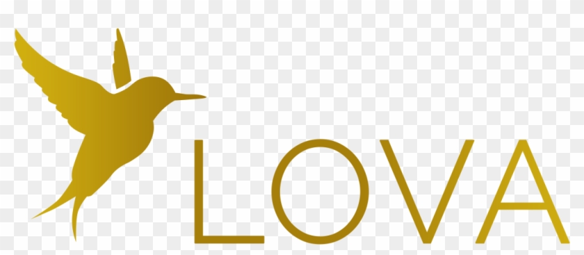 Eyelash Extensions - Eyelash Extensions #1501098